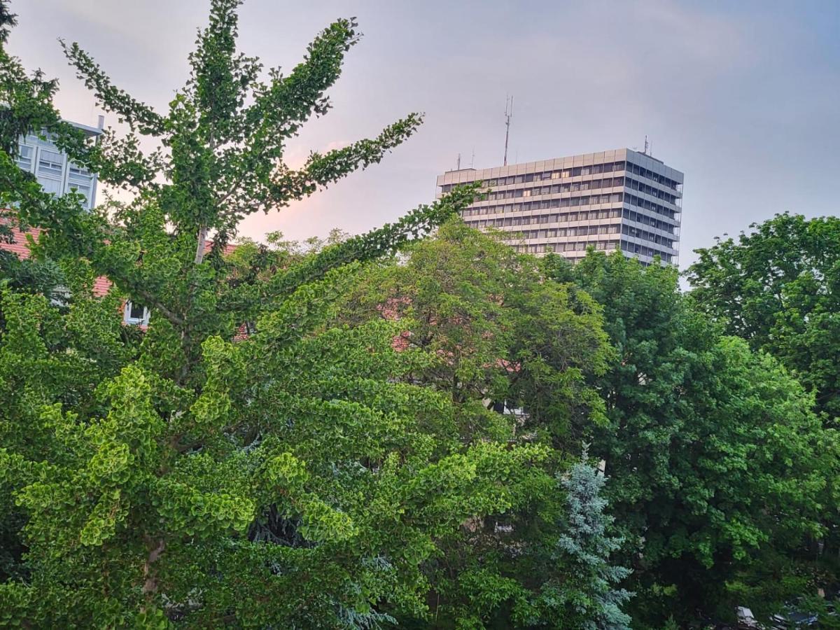 Privatzimmer An Der Uniklinik Mainz Exterior foto